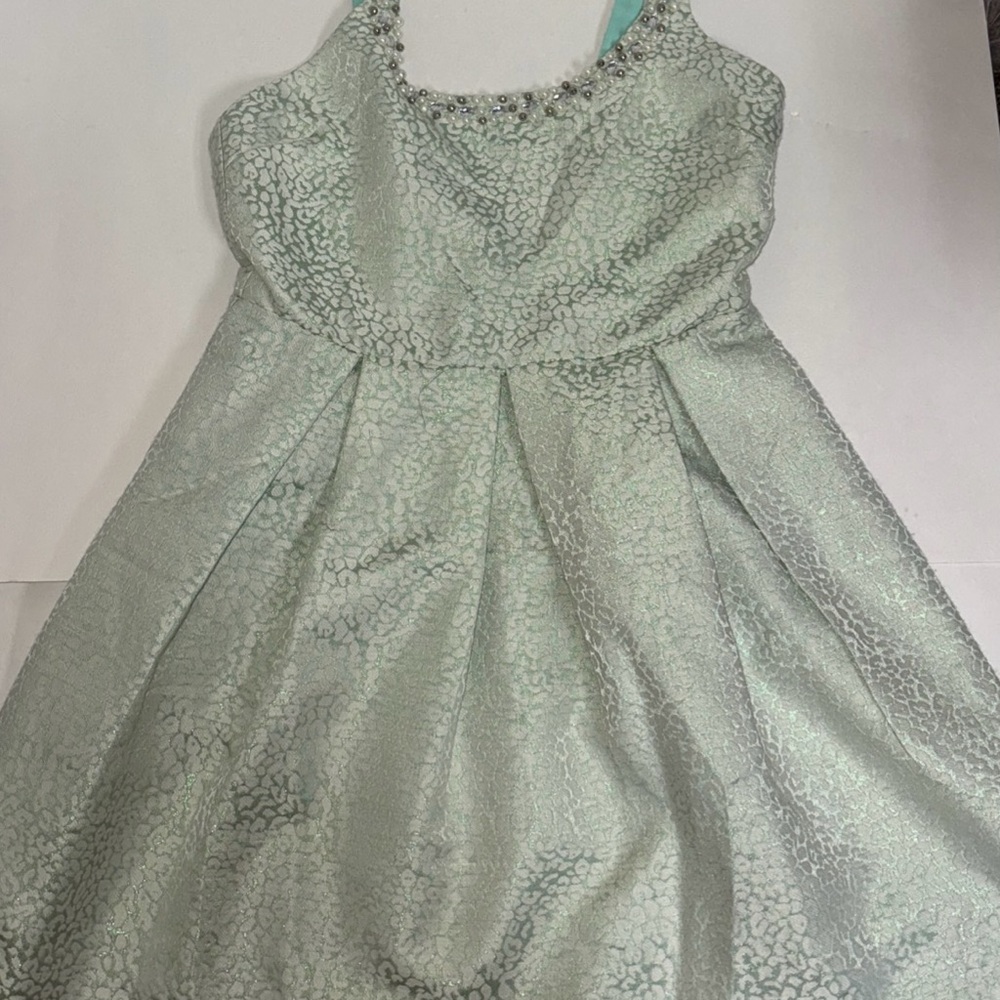 Francesca's Collections Mint Green formal Dress